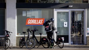 Jumbofamilie koopt aandelen Gorillas 