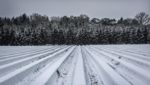 April begint winters: vrijdag mogelijk sneeuwdek van tien centimeter in Limburg