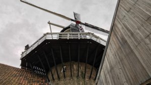 Midden-Limburgse molens sluiten aan bij wereldrecordpoging ‘molens draaien’