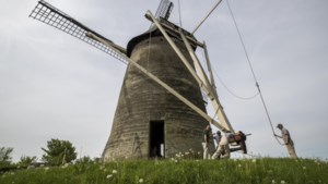 Zuid-Limburgse molens sluiten aan bij wereldrecordpoging ‘molens draaien’