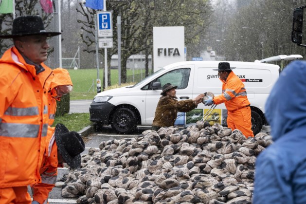 6500 ‘voetballen’ gedeponeerd voor hoofdkantoor FIFA als protest tegen WK in Qatar