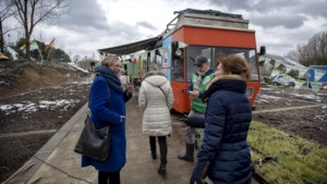 ‘Niet lullen maar tuinen vullen’: Ikgroenhet in Parkstad vindt navolging in heel Nederland