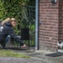Redders van dieren die niemand wil helpen of ‘illegale kattenmiepen’? Gedoe over opvang van zwerfkatten in regio Venlo