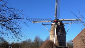 Komende zaterdag tal van molens in regio geopend voor publiek