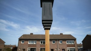 Tijdelijk onderkomen voor vogels en vleermuizen in te renoveren wijk Nieuwdorp