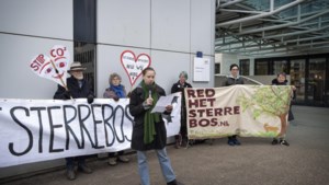 Rechtbank toont nu wel begrip voor bezetters Sterrebos bij Born: actievoerders klaar voor volgende ronde