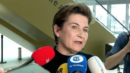 Lilianne Ploumen stopt als leider en Kamerlid van de PvdA