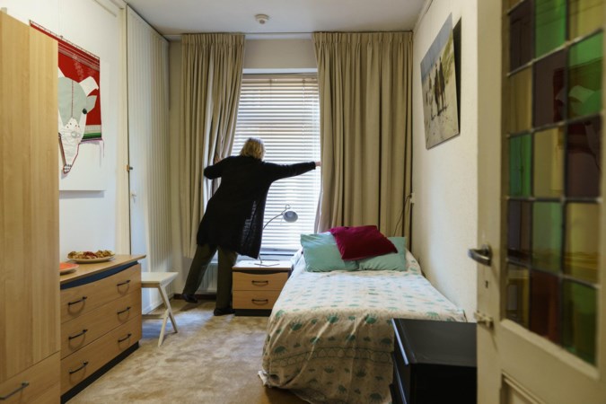 Maastricht wil binnen twee jaar honderd studenten onderbrengen bij hospita’s: ‘Druk op de kamermarkt stukje verlichten’