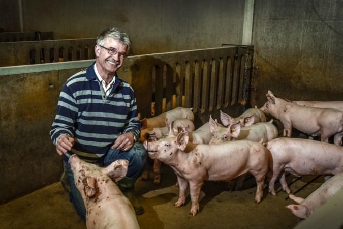 Varkenshouder uit Meijel bereidt ‘substantiële schadeclaim’ voor na jarenlange strijd voor uitbreiding