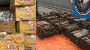 Douane vindt 1099 kilo cocaïne in haven van Rotterdam