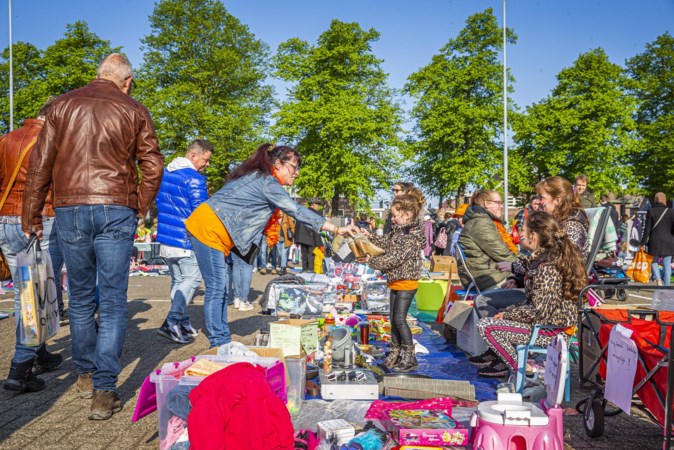 Bijzondere ‘spullen’ te koop op Limburgse vrijmarkten: van een huis tot hond Harry