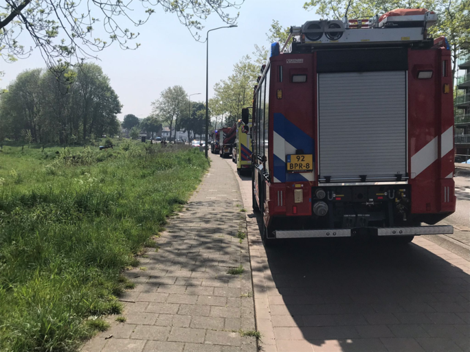 Dode gevonden in ingestorte tunnel in bosperceel in Heerlen