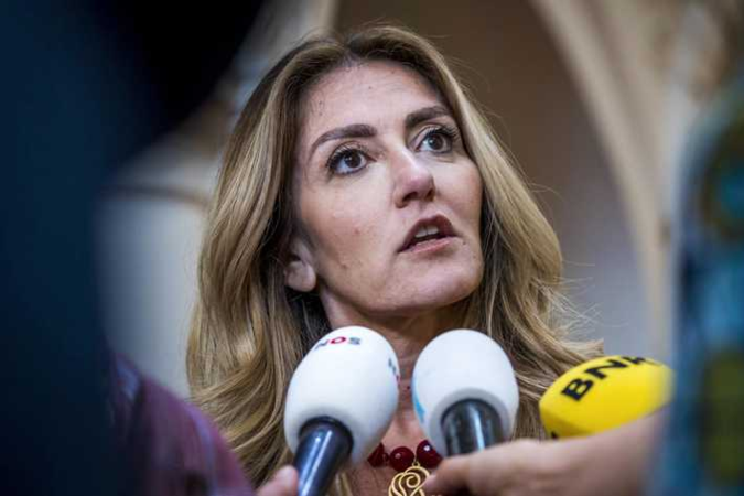 Verdeeldheid in Tweede Kamer over verhoging van celstraf voor doodslag