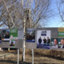 Beoogde wethouders van nieuwe coalitie in Nederweert bekend