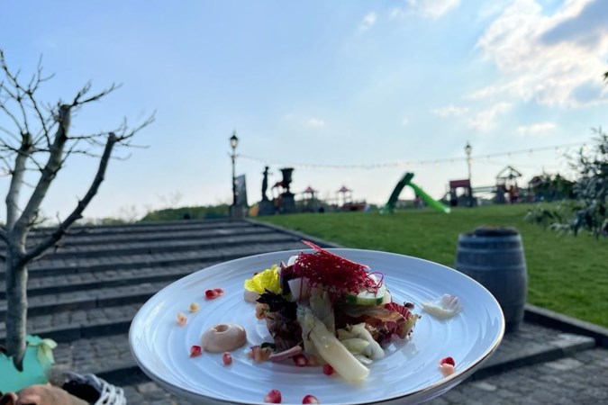 Speelwalhalla voor kids en fijn terras bij Biesenhof in Sweikhuizen