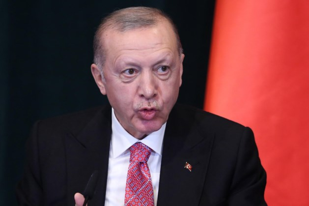 Erdogan keert zich tegen NAVO-lidmaatschap voor Zweden en Finland