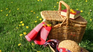 Picknicken in het nieuwe Weerter stadspark op tweede pinksterdag 