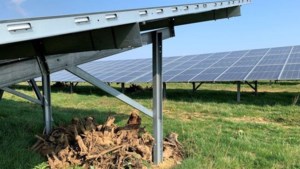 Gemeente Landgraaf gaat gesprek aan met inwoners; wat vinden zij van zonne-energie? 