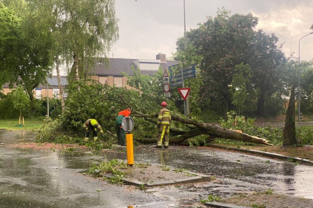 Weinig overlast in Limburg door onweer, code oranje opgeheven  