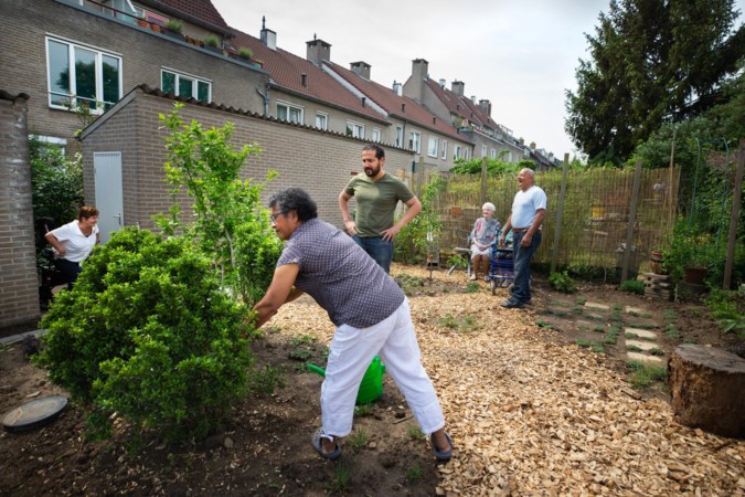 Buurttuin brengt buren Herbenusstraat Maastricht met elkaar in gesprek