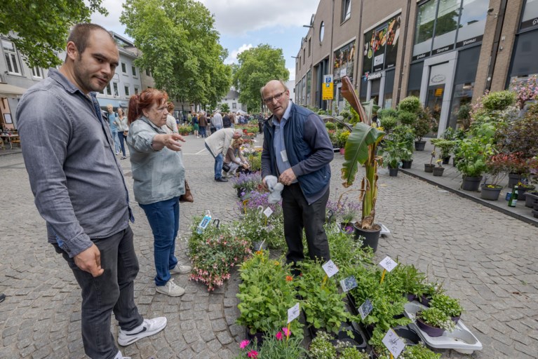 Corona-effect was goed voor ons, zeggen kwekers en verkopers van bloemen en planten op Telefleur in Heerlen