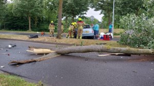 Auto rijdt tegen boom in Venlo; traumahelikopter opgeroepen