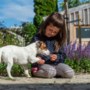 Hondje van uit Oekraïne gevluchte Eva (6) niet welkom bij opvang in Vijlen: gemeente grijpt in