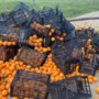 Opnieuw mysterieuze dumping sinaasappels, nu in Midden-Limburg