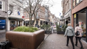 De beruchte boombak in Roermond verplaatsen heeft niet zoveel zin volgens de rechter, kort geding afgewezen