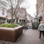 De beruchte boombak in Roermond verplaatsen heeft niet zoveel zin volgens de rechter, kort geding afgewezen