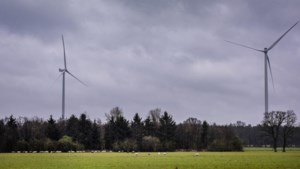 Leden Leudal Energie spinnen garen bij hoge stroomprijs: met het windpark in Neer wordt geld als water verdiend