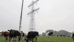 Limburg reageert verontwaardigd op stop stroomnet: ‘Lijkt wel bananenrepubliek’