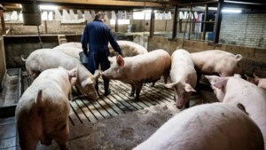 CDA Beekdaelen fel tegen stikstofplannen vanwege gevolgen voor boeren in Zuid-Limburg