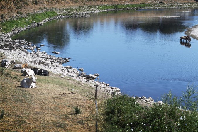 Tekort aan drinkwater dreigt voor zeven miljoen Nederlanders en Belgen: ‘We moeten proberen minder afhankelijk te worden van het Maaswater’