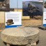Unieke vondst molensteen in Grensmaas duidt op laat middeleeuwse energiewinning met schipmolen