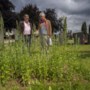 Wanhopige zoektocht naar vrijwilligers voor onderhoud begraafplaats Maastricht: ‘Het maaien neemt al drie dagen in beslag’