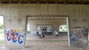 Miljoenen voor Limburgse fietsverbindingen om mensen uit de auto te krijgen