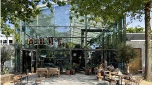 Van dikke burger tot een vegan salad: Foodhall Mout in Venlo is van alle wereldmarkten thuis