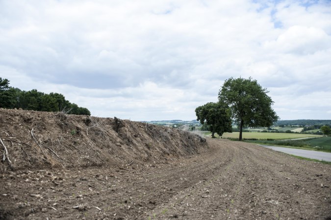 Limburgse graften liggen er slecht bij, en dat betekent minder natuur en meer modderstromen