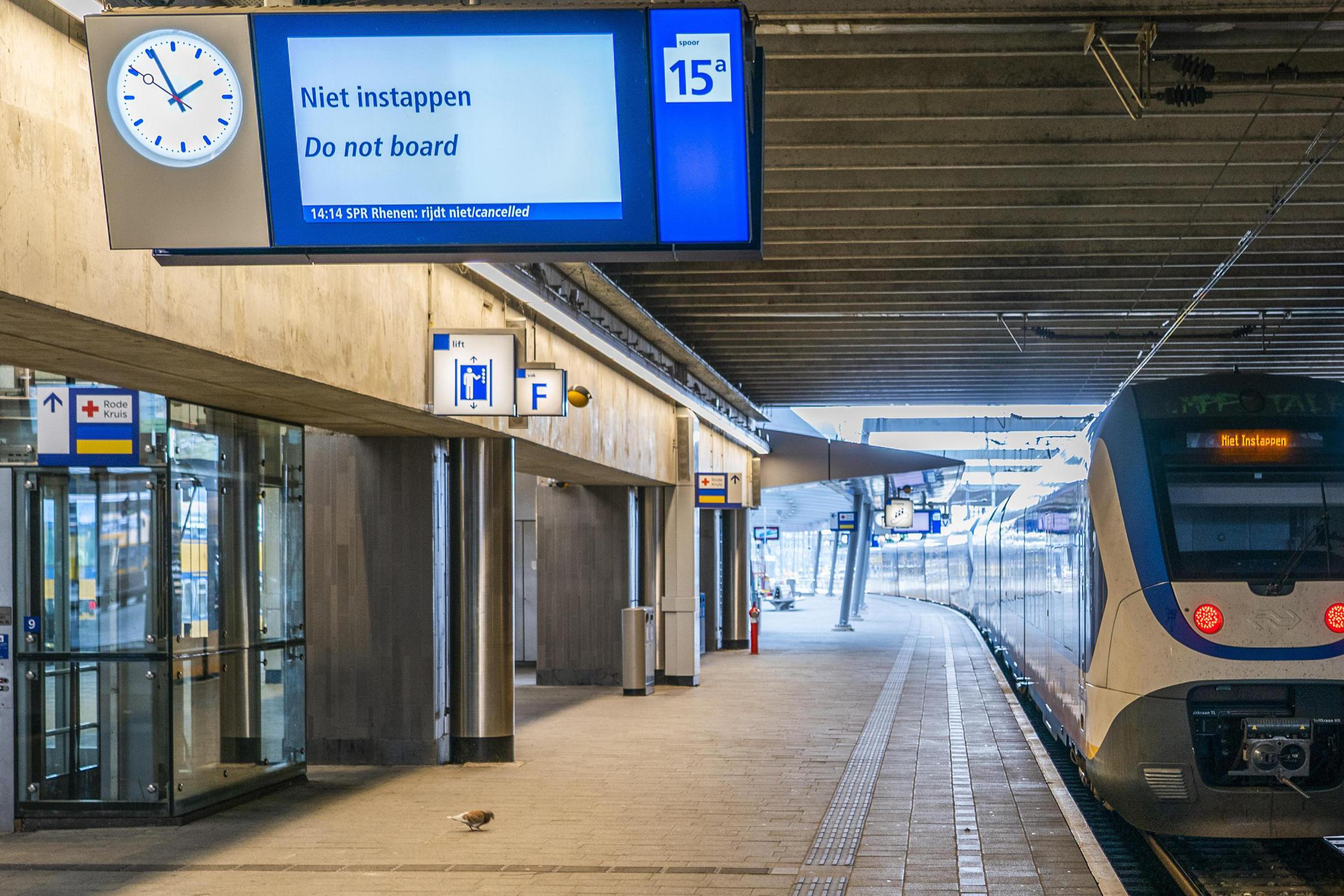 Aankomende Week Minder Treinen Door Personeelstekort NS - De Limburger