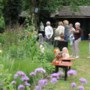 Kwakkelend weer geen spelbreker bij eerste editie Maasbrees tuinfestival ‘Dwars dôr d’n hoof’