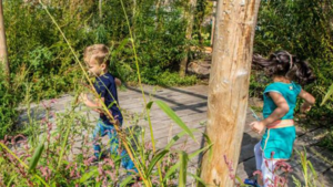 Waterklaar streeft naar schoolpleinen met veel natuur en water in Noord- en Midden-Limburg