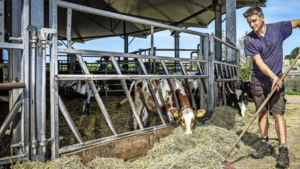 ‘Boerenpartij’ CDA koerst af op afgrond vanwege stikstofdebat