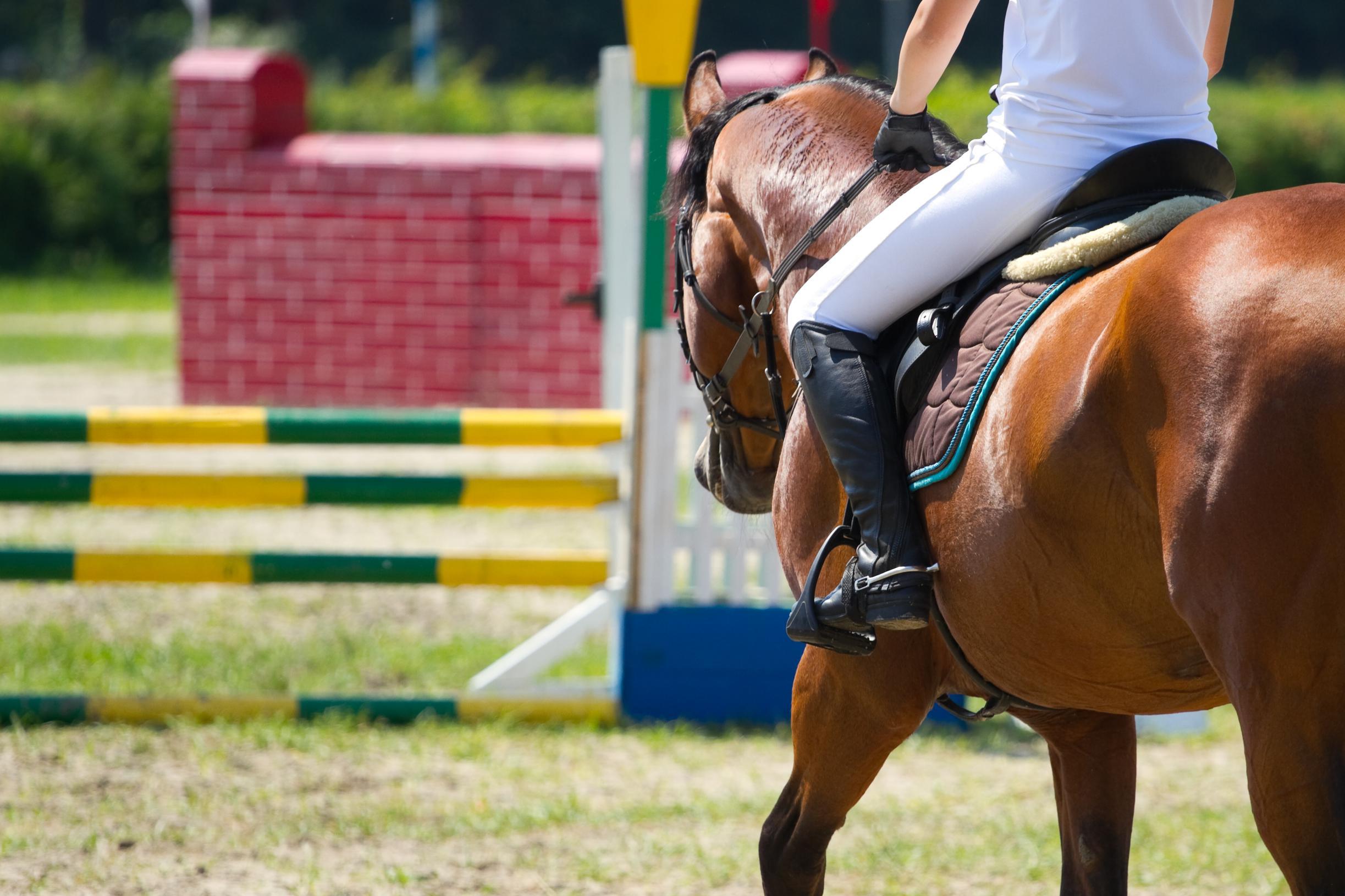 Paardensportwedstrijd in Ysselsteyn - De Limburger