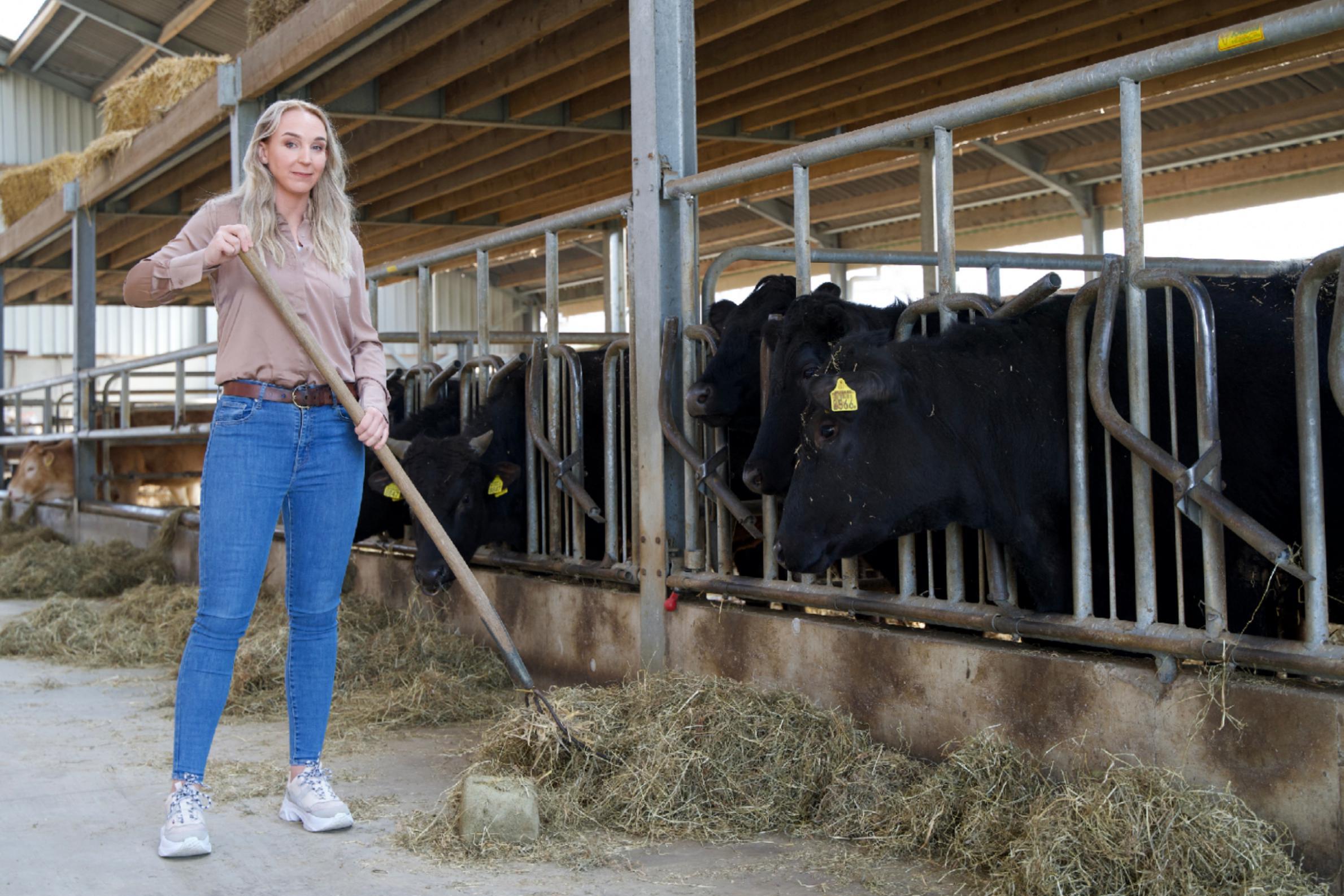 Smaaksensaties uit het eigen Heuvelland - De Limburger
