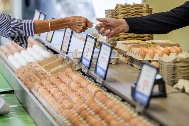 Waarom zijn de eieren zo duur? En wat zijn de goedkopere alt... - De