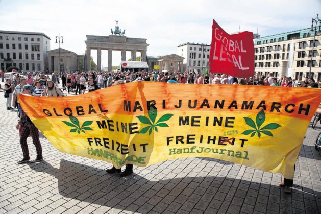Bundesregierung schlägt begrenzte Legalisierung von Cannabis vor