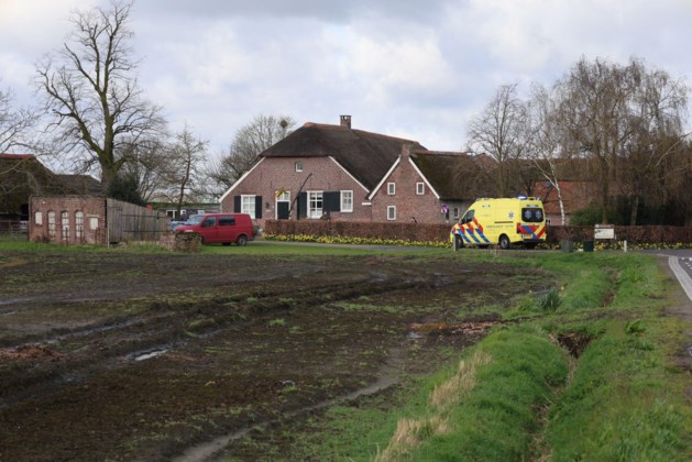Meisje raakt gewond bij val van paard in Merselo