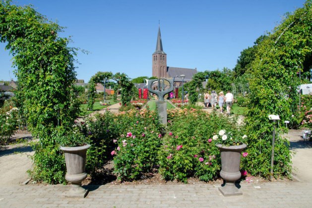 Rozenfeest in Lottum zet eeuwenoude traditie voort met nieuwe formule