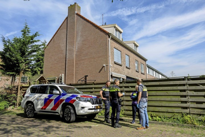 Pleegouders van Vlaardings meisje zouden ook Syrische broertjes hebben mishandeld